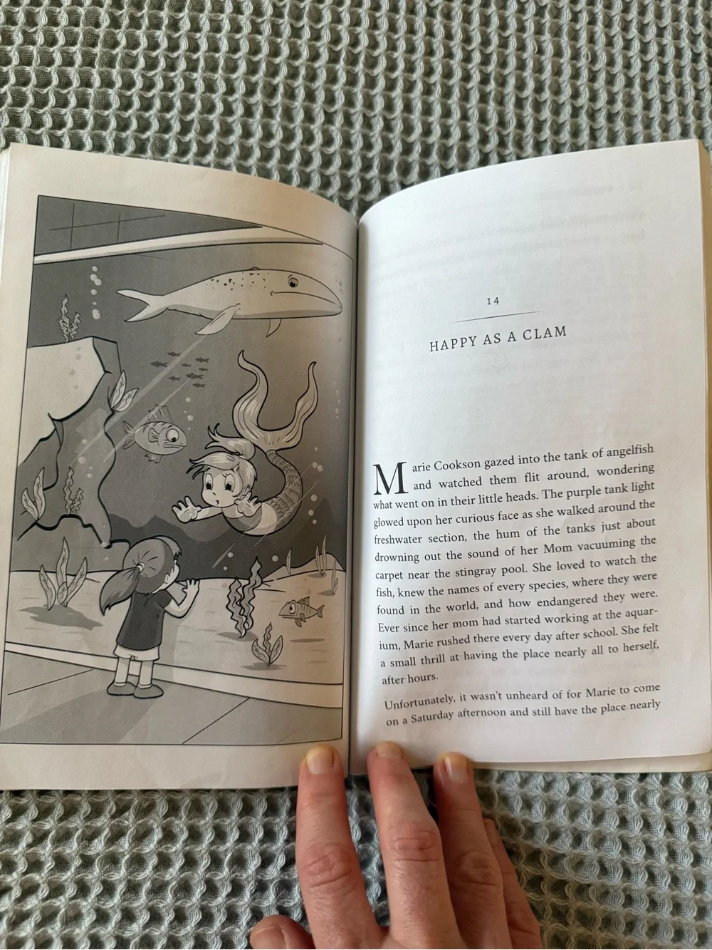 Bedtime stories book